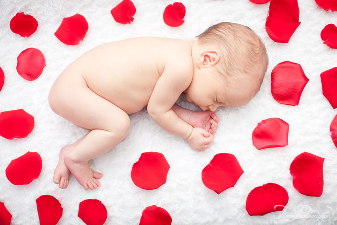 Babyshooting, Baby Fotoshooting, Babybilder, Babyfotos