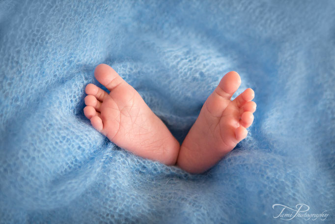 Babyfotograf, Neugeborenenfotograf, 