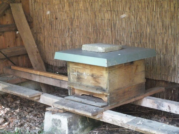 Bienenvolk - ein neuer Mieter auf dem Geesthof!