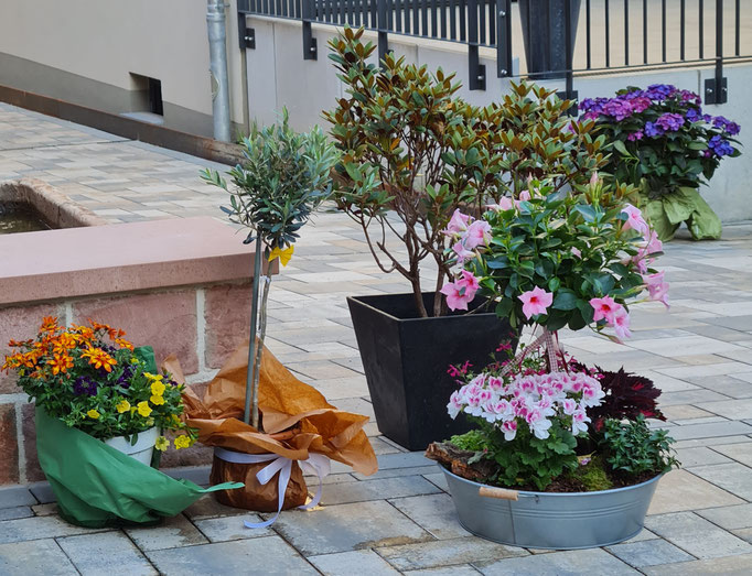 Blumengeschenke
