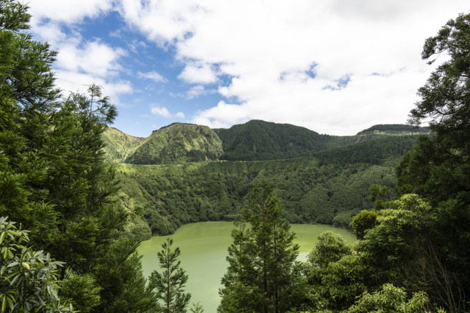 Azores - Copyright Martin Kaufmann