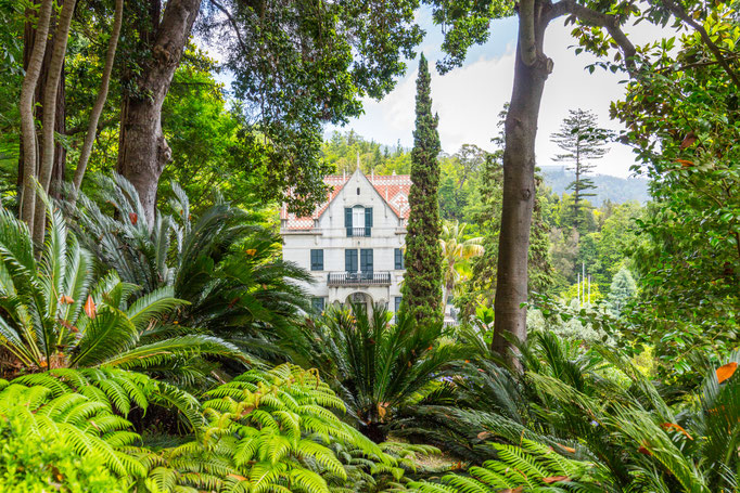 Tropican Garden with Monte Palace in Funchal, Madeira island, Portugal Copyright  DaLiu