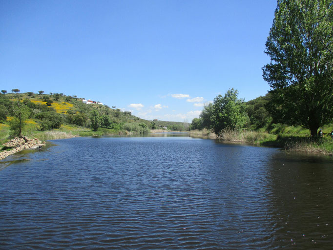 Ribeira Grande, Fronteira, Portugal