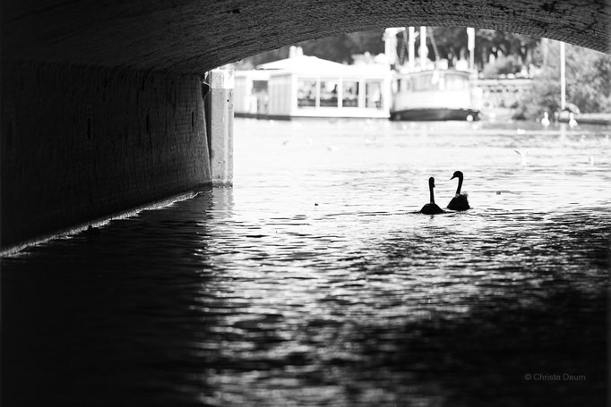 Elbe Hamburg, Foto: Christa Daum
