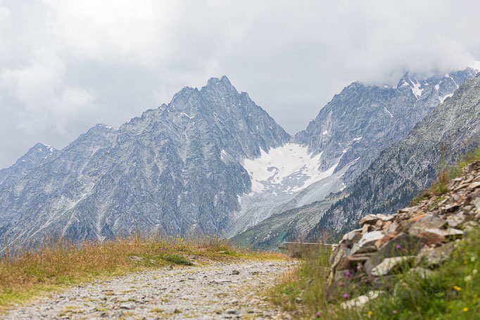 Staller Sattel Osttirol, Foto: Christa Daum 