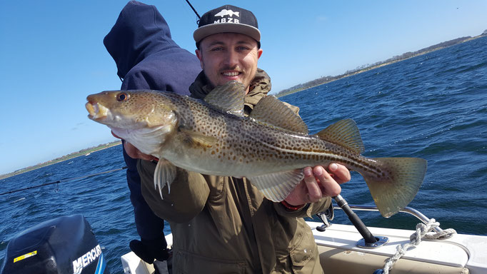 Waldemar mit einem Dorsch. Gefangen vor der Fehmarn Küste Frühjahr 2016