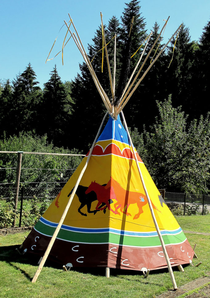 Mustang-Tipi 2015