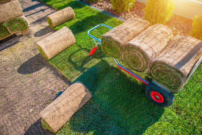 Gartengestaltung Terrassenbau Zaunbau Rollrasenverlegung Gartenpflege Heckenschnitt Baumpflege Baumfällung LüneGrün