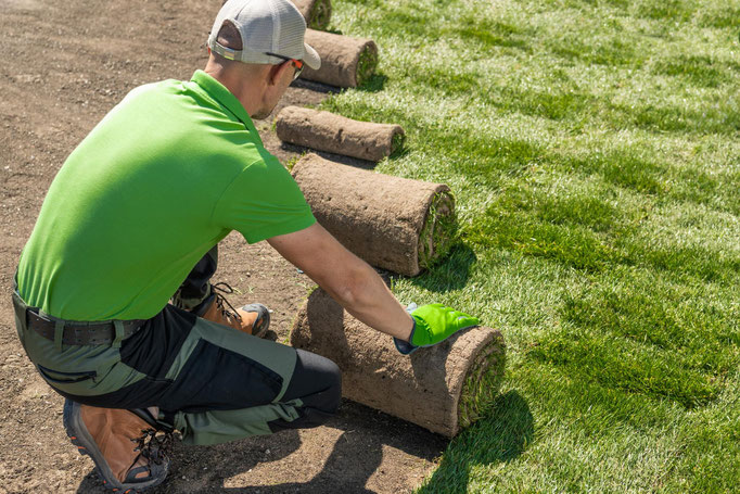 Gartengestaltung Terrassenbau Zaunbau Rollrasenverlegung Gartenpflege Heckenschnitt Baumpflege Baumfällung LüneGrün