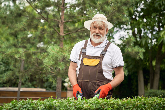 Gartengestaltung Terrassenbau Zaunbau Rollrasenverlegung Gartenpflege Heckenschnitt Baumpflege Baumfällung LüneGrün