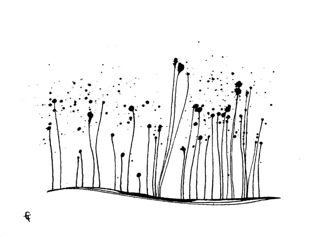 Minimal III, 11x15cm, 2025