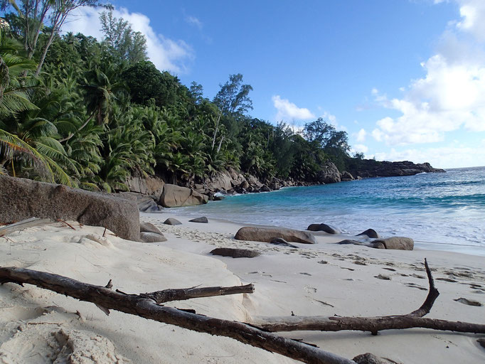 Anse Intendance - Insel Mahe (Seychellen)