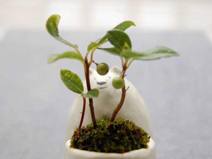 kito さん