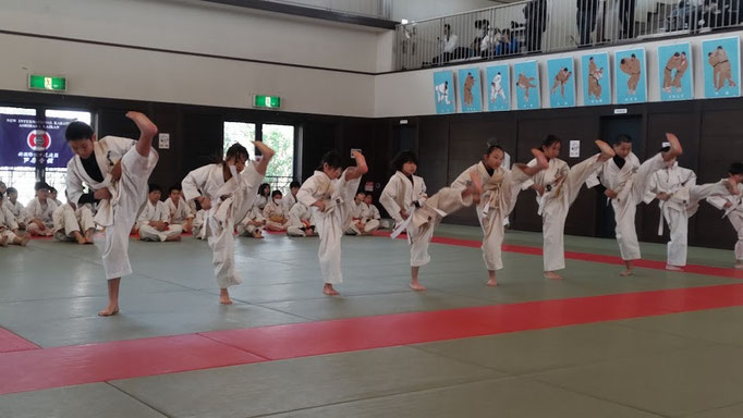 小学生の蹴りの審査