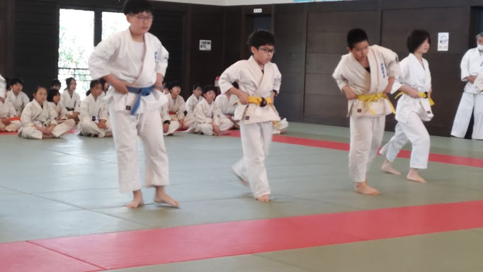 小学生の蹴りの審査
