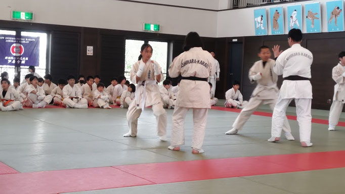 小学生の組手の審査の模様