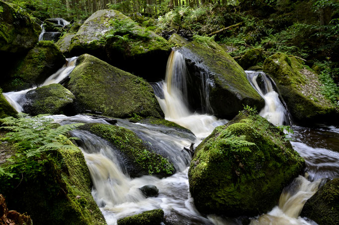 Teufelswand/Vyšší Brod 2022