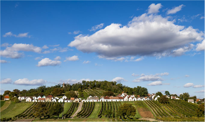 Heiner Grünwald