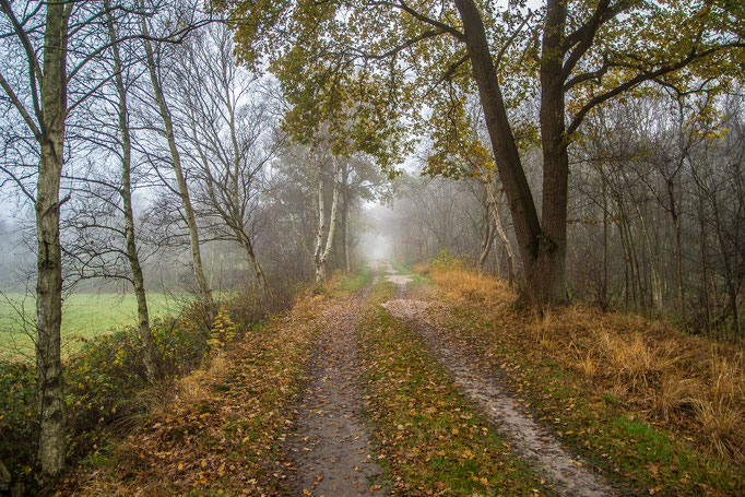 Kayhauser Moor. Klaus.Dieter Haak