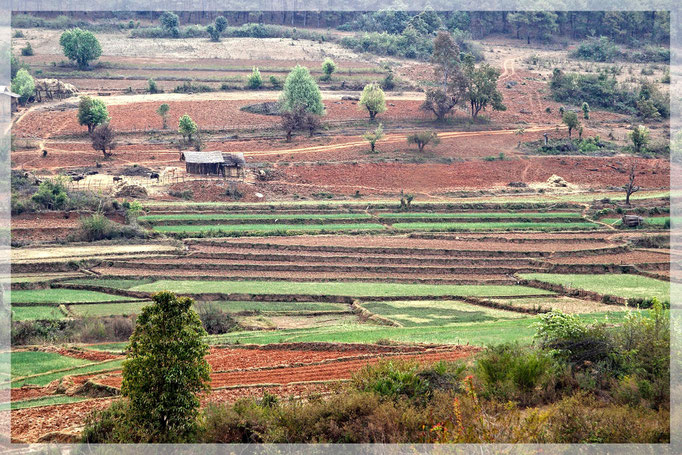 Myanmar
