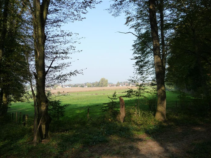 Automne 2010