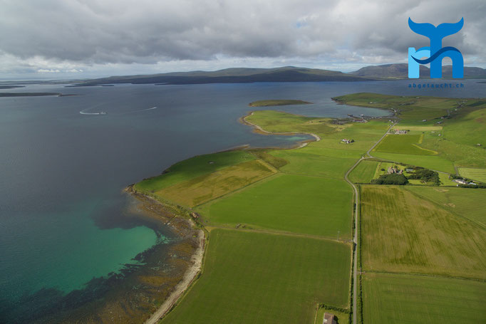 Die Küstenlinie bei Scapa Flow © Robert Hansen