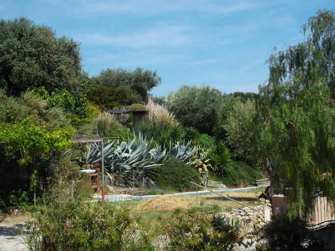 jardin méditerrannéen