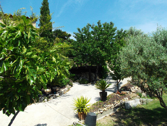 balade dans le jardin avec ses fruitiers