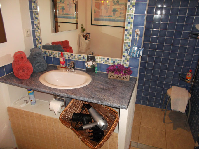 salle de bains avec sèche-cheveux