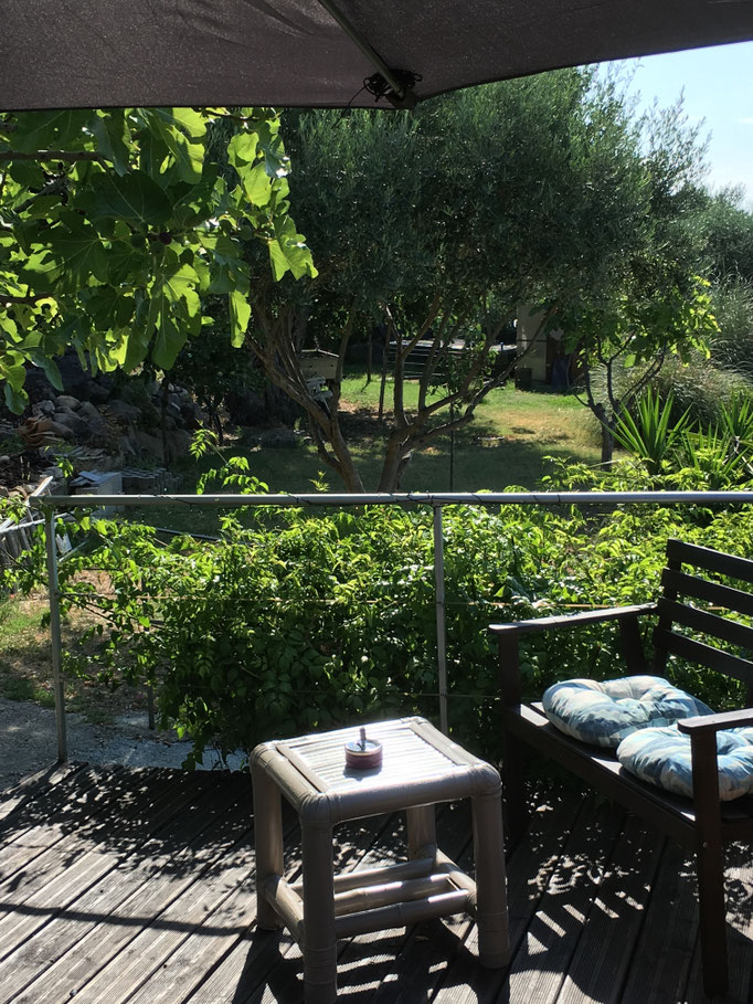 terrasse les Bougainvilliers