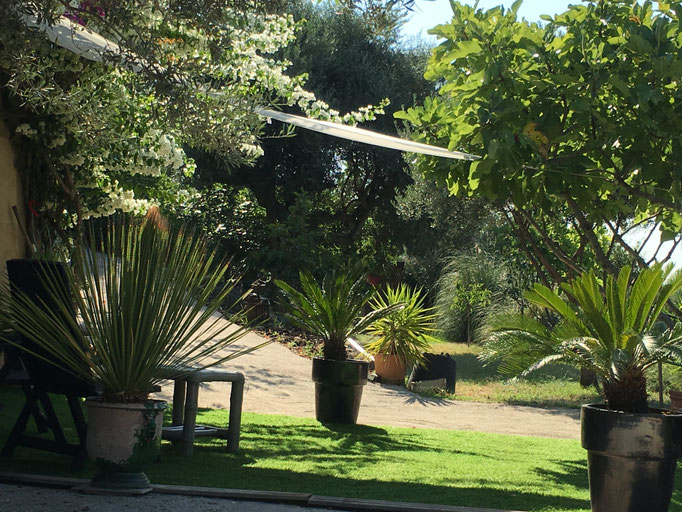 terrasse les Bougainvilliers