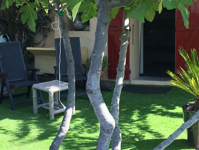 terrasse les Bougainvilliers