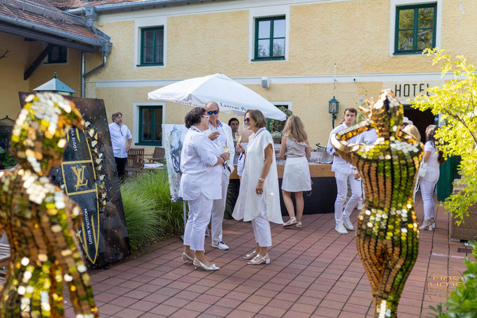 Außergewöhnliche Spiegelkünstler für Galas, Firmenevents, Produktpräsentationen und VIP-Veranstaltungen.