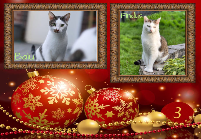 Ein Spieltunnel & Weihnachtswichtel