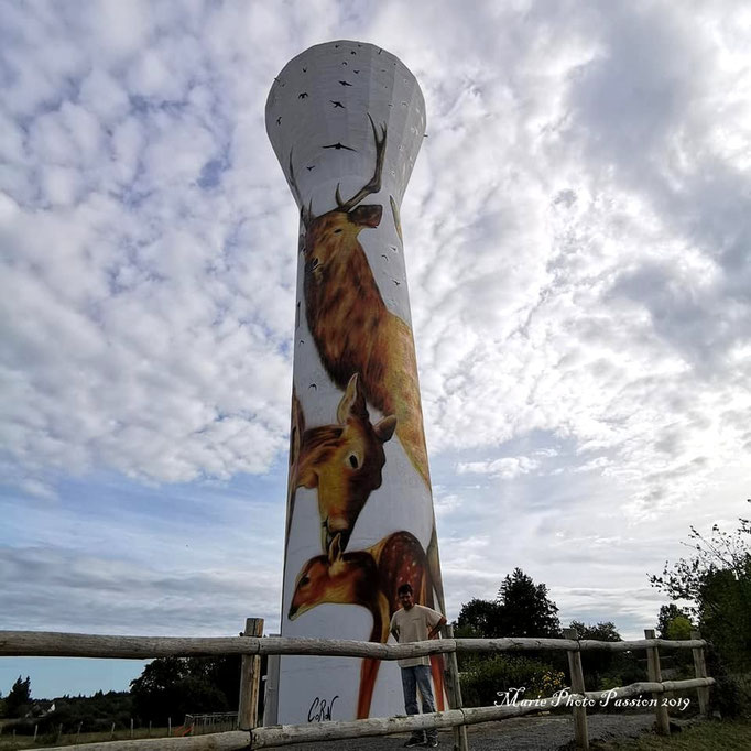 fresque château d'eau