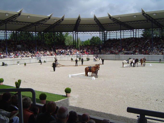 CHIO Aachen 2004 Der Fischzug des Petrus