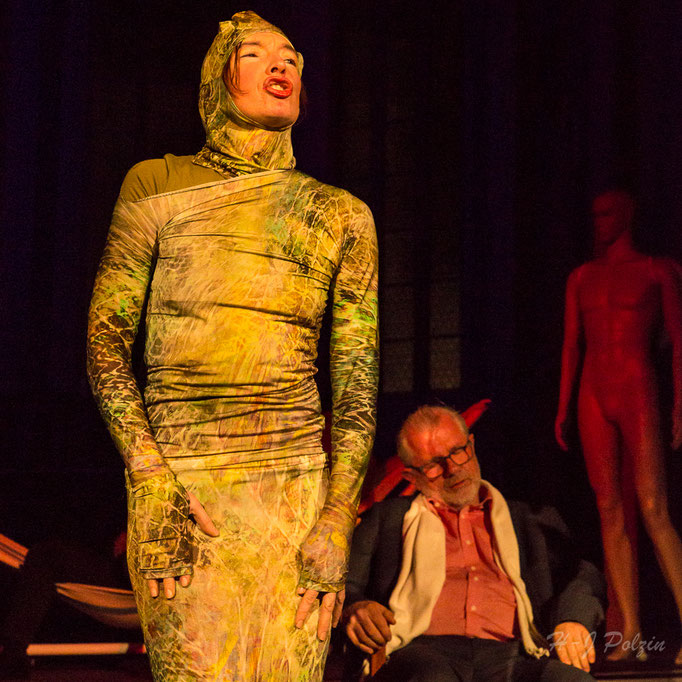 Die Goldberg-Variationen Theater Ludus 2017