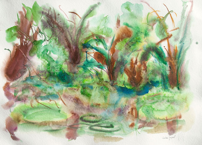 Aquarelle 50x70cm 2023