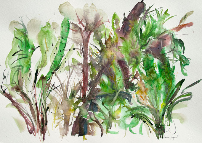 Aquarelle 50x70cm 2023