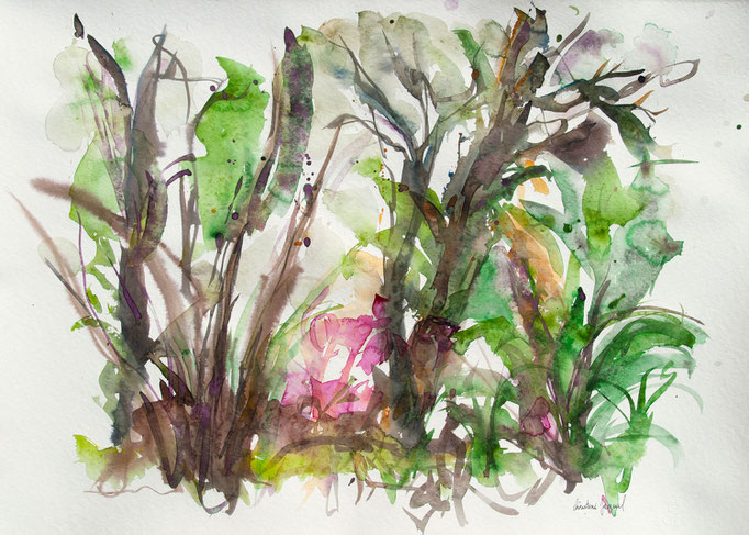 Aquarelle 50x70cm 2023