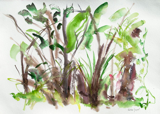 Aquarelle 50x70cm 2023