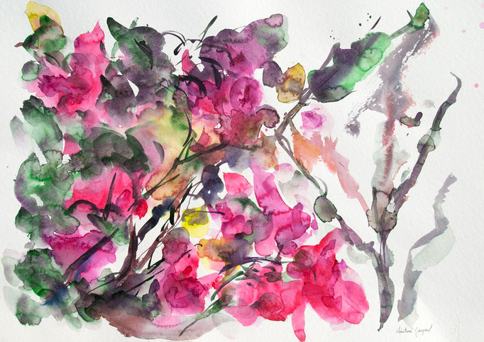 Aquarelle 50x70cm 2023