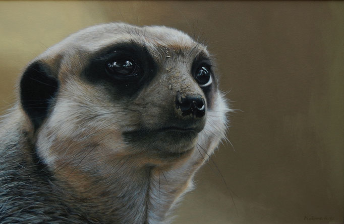 "Meerkat" 40 x 60cm acrylic on canvas