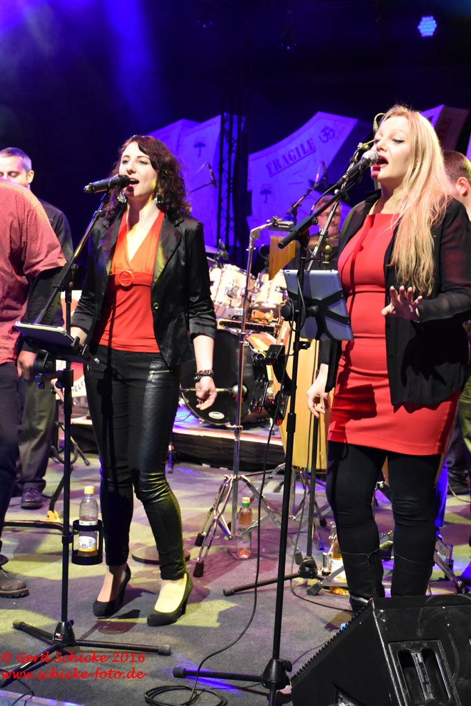 Troubleshooters - Wintertollwood 2016