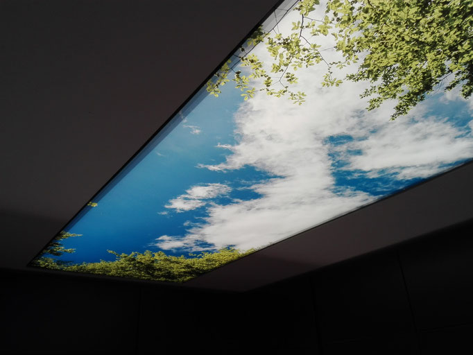 Fotodruck Motivdecke Himmel mit Bäume  Foto:  MERLIN 