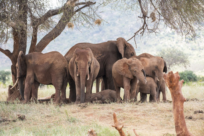 Foto Frauenreise Kenia bei Daniela Skrzypczak