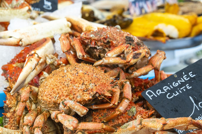 Fotografiert mit Nikon Z8 und Nikkor Z 85mm F/1.2 S in Le Trepore, Frankreich