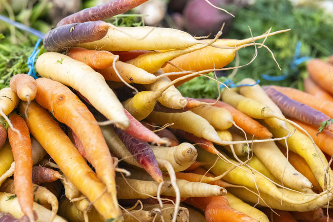 Fotografiert mit Nikon Z8 und Nikkor Z 85mm F/1.2 S in Le Trepore, Frankreich