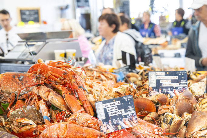 Fotografiert mit Nikon Z8 und Nikkor Z 85mm F/1.2 S in Le Trepore, Frankreich