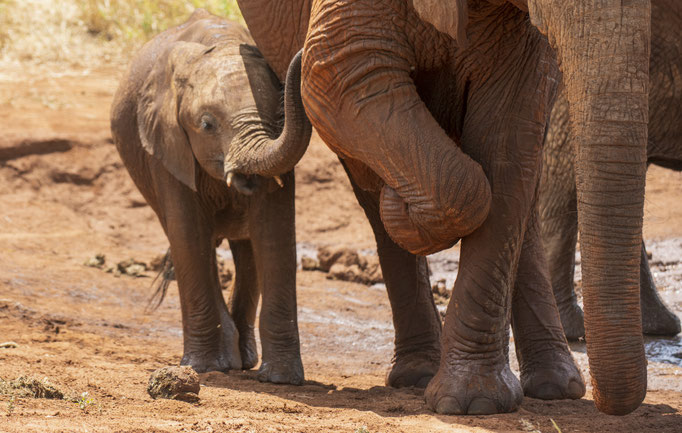 Foto Frauenreise Kenia bei Daniela Skrzypczak